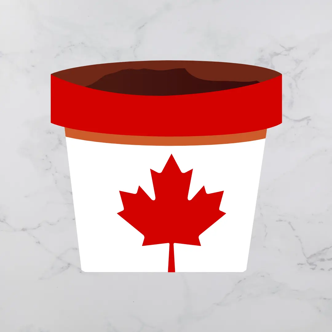 plant pot decorated with Canada Flag