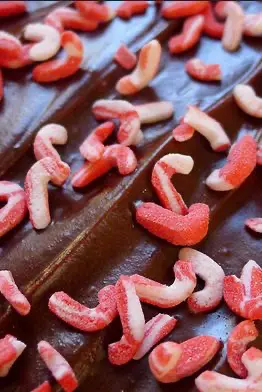 homemade candy canes