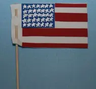 4th of July craft flag fan