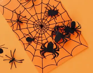  halloween decoration spider web window