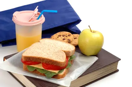 zero waste school lunch
