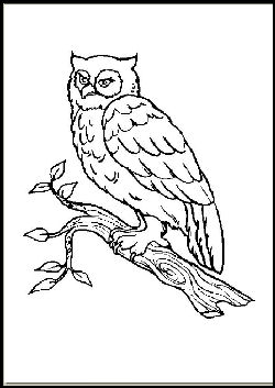 se frinds coloring pages